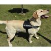 Dog Leash Chest Strap Large Medium and Small Dog Walking Leash Vest Style Pet Dog