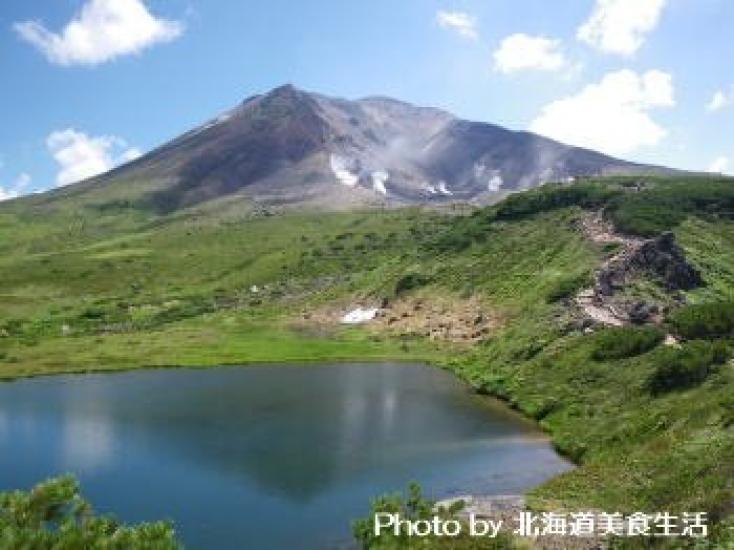 Daisetsu Water Resources Conservation Center Daisetsu Asahidake Source Water 500ml X 24 Bottles 500ml (x 24)