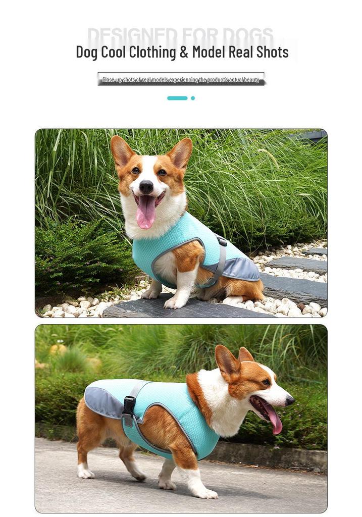 Summer Dog Cooling Vest: Lightweight, Breathable Heat Relief for Pets