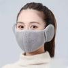 1pc-Autumn And Winter Warm Thickened Face Mask With Ear Protection, Unisex, Three-dimensional Washable Reusable Cycling