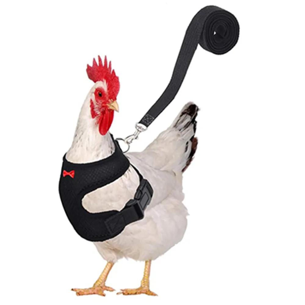 Fashion Chicken Duck Vest Harness, Pet Hen Belt with Matching Collar Bow, Breathable Comfortable Poultry Supplies
