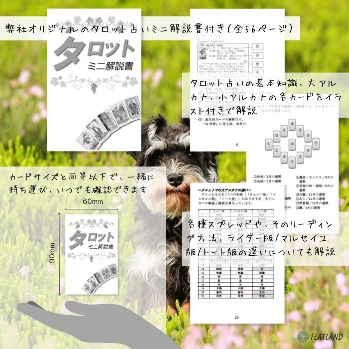 Волшебные Собаки Таро Волшебные Собаки Таро Гадание на японском языке Руководство Включено Подлинные Карты Таро 78 Штук Собака