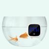 Fish Tank Digital Thermometer Mini Aquarium Water Thermometer Color Digital High Accuracy Thermometer