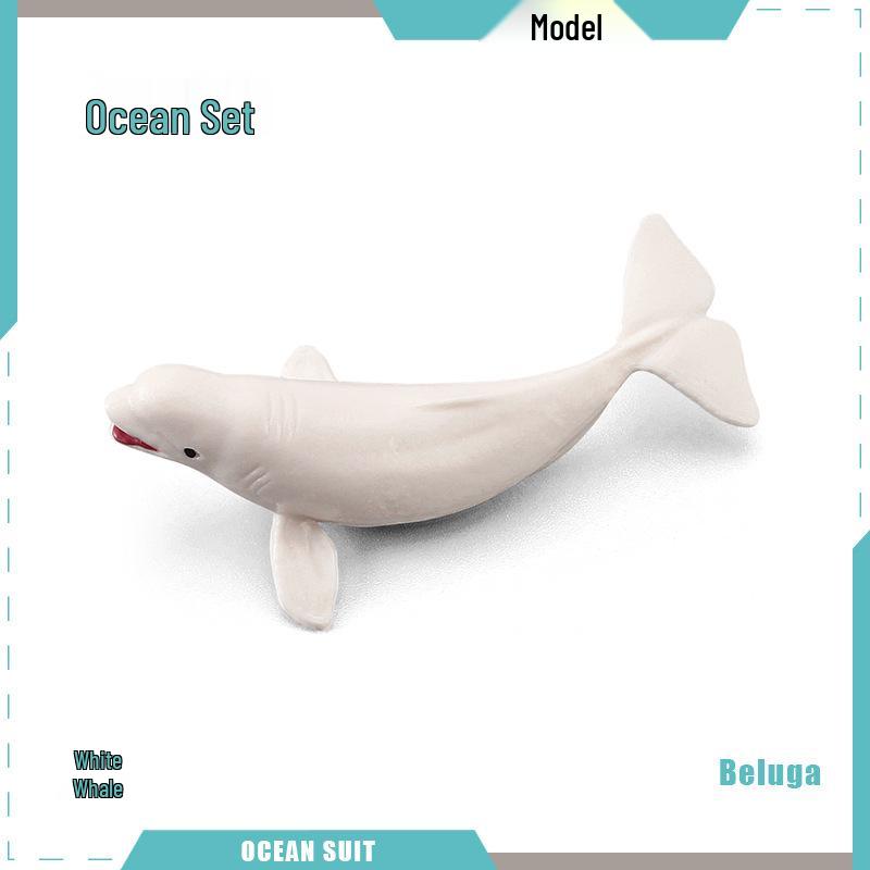 Children's Marine Animal Model Set: Mini Whale, Shark, Dolphin, Turtle, Sea Lion