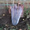 0.1/0.35/0.4m Chicken Wire Mesh Hexagonal Pet Wire Netting Rabbit Fencing  for Plants Protection