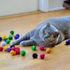 50 шт. Игрушка для кошек, блестящие шарики, забавные помпоны, игрушки для питомцев, блестящие шарики, кошка