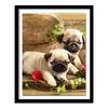 NEW 3D DIY Diamond Painting Cross Stitch Cute Dog Floral Crystal Needlework Diamond Embroidery