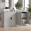 Filing Cabinet Steel Cabinet Multi Purpose Cabinet With Adjustable Shelf And Lock For Study Living Room Gray