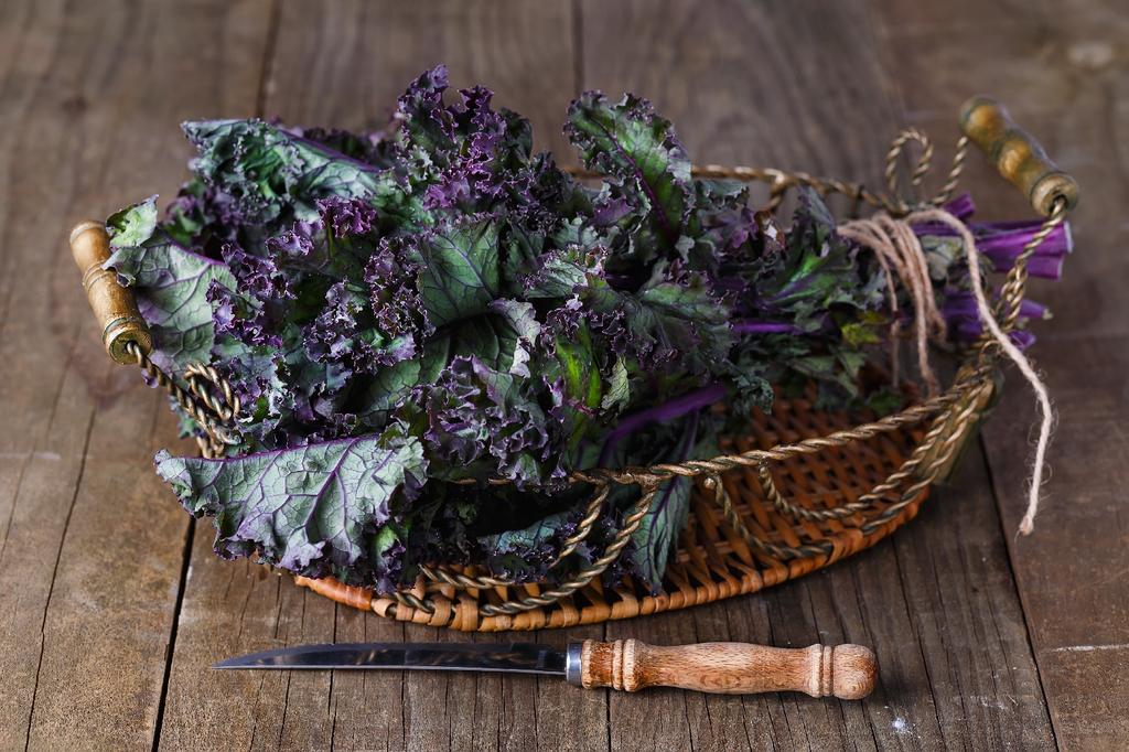 SAFLAX Garden in the Bag - Organic - Капуста - Redbor - 50 семян - С субстратом в подходящем стоячем пакете - Brassica oleracea