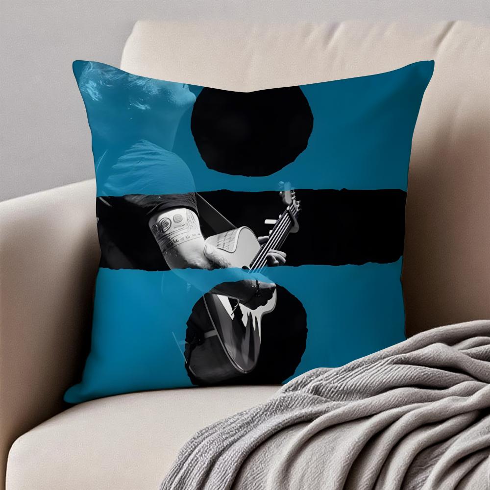 Lyrical Down to earth POP Singer EEd Sheeran Cushion Cover Pillowcase Antidustmite Invisible Zipper Short Plush Sofa Cushion