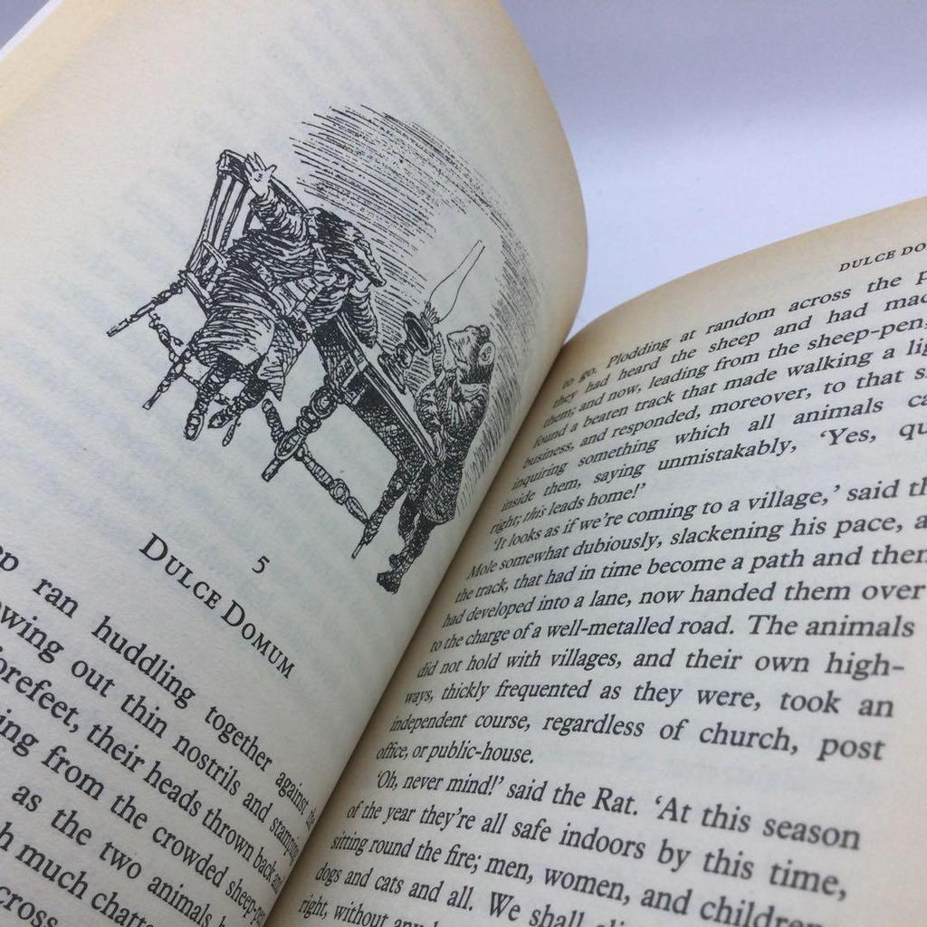 [USED] The Wind in the Willows -Kenneth Grahame