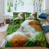Guinea Pig Duvet Cover Set King Size Cute Guinea Pig Comforter Cover Rodent Breeds Bedspread Cover Animal Print Bedding Sets
