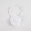2Pcs 3D Flower Magnetic Curtain Tiebacks Minimalist Curtain Holdbacks  Sheer Curtains