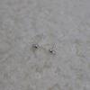 APIOH TINY OVAL EARRING