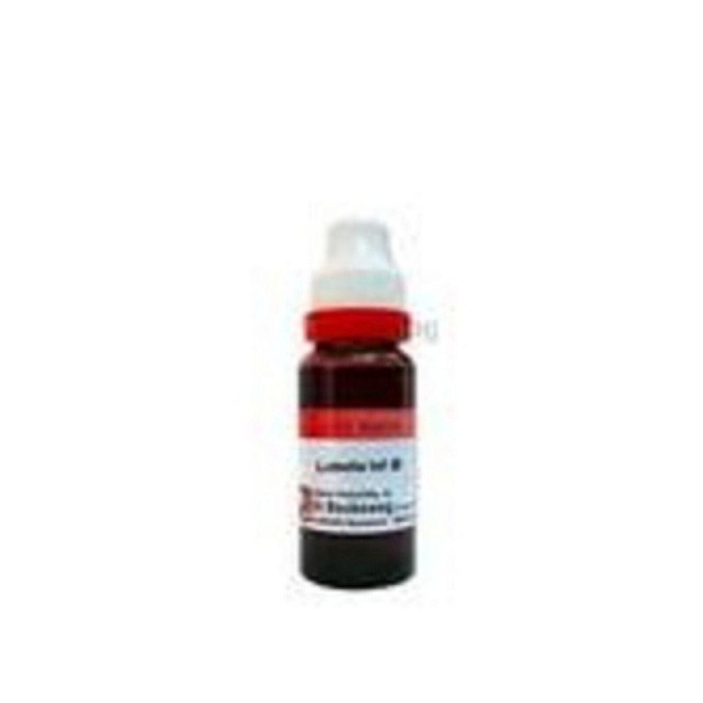 @ Dr. Reckeweg Lobelia Inflata Q Homoepathic 20ml o085 UKR1184_60%OFF