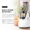 Kubins Whole Slow Juicer White Wide 75mm Inlet Multifunctional Smart Cap Long Type Screw JSG-821