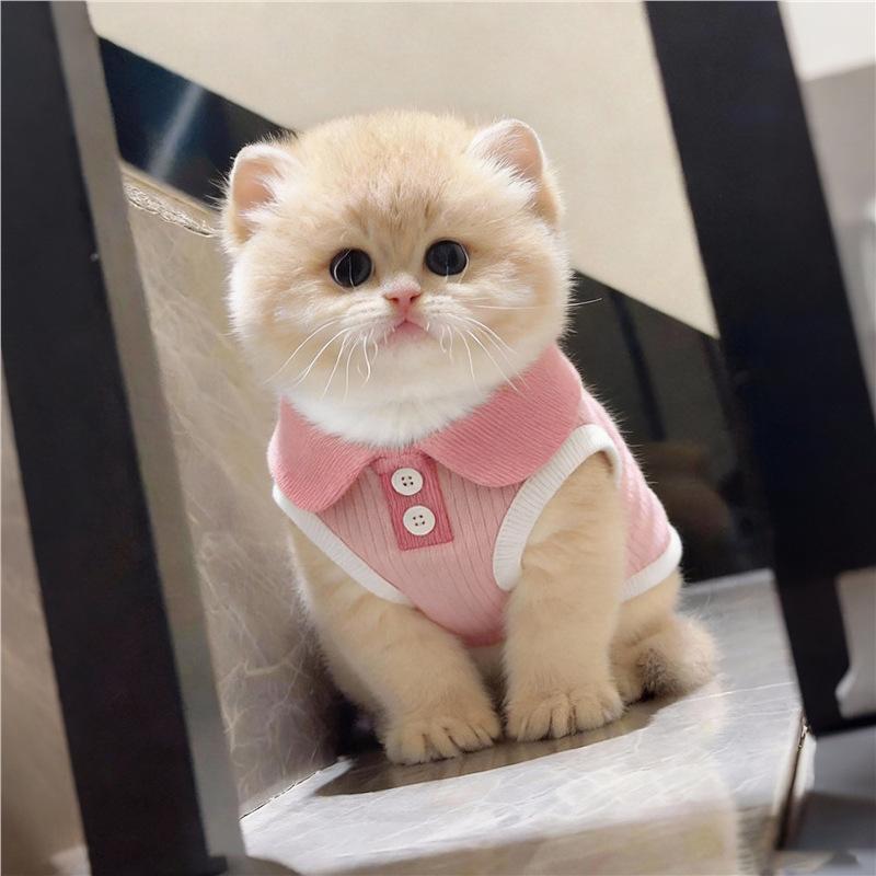Lightweight cat clothing, anti-shedding dopamine vest, small dog spring/summer polo shirt, 2026 new model