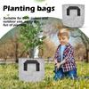 Тканевый мешок для посадки растений, плотный нетканый мешок для посадки растений, горшок для посадки растений, мешок для посадки с ручкой, мешок для посадки овощей, черный