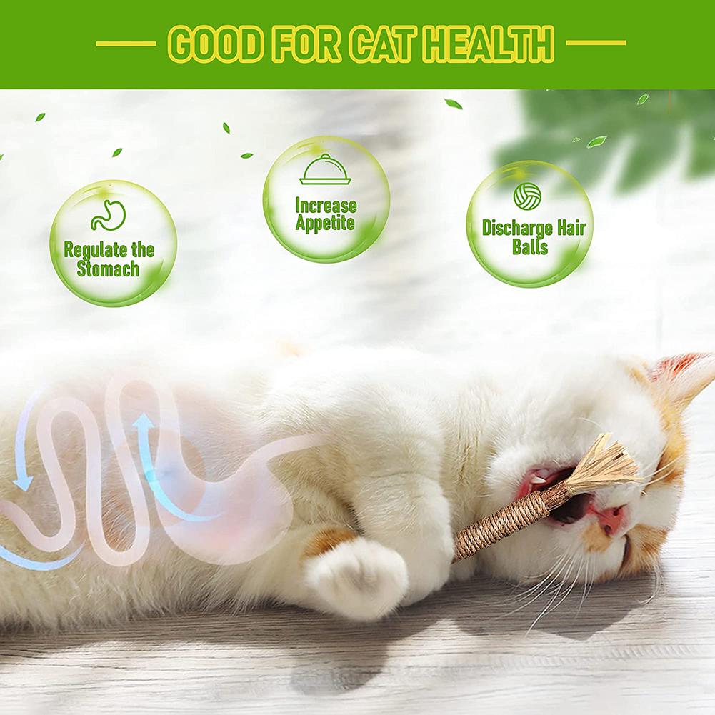 Wooden Teaser Stick Teething Chew Toys Cat Toy To Relieve Boredom Cats Supplies