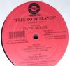 12-дюймовая пластинка PIRATEBRAIN, DAVID MOORE - Свободны быть рабами PBVOL7 Liquidbrain Rec 2003 США Танцевальная и электронная Б/У