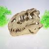 Dinosaur Skull Reptile Box: Creative Resin Display Ornament for Living Room or Bar