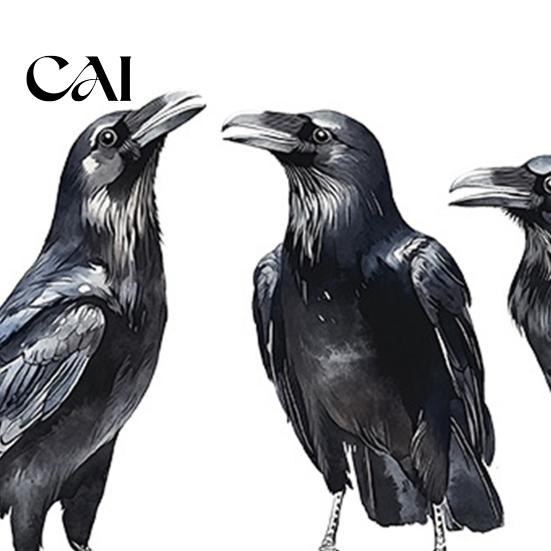 Dark Aesthetic Room Decor Halloween Black Crow Wall Stickers, Raven Decals, Removable Mural DIY Holiday Window Clings Peel And Stick Art Decors