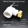 PPR Water Heater Union Pre-Filter Connector: 25 To 1 Inch, 4-6 Points, 32 Straight Elbow, Copper Water Pipe Fittings