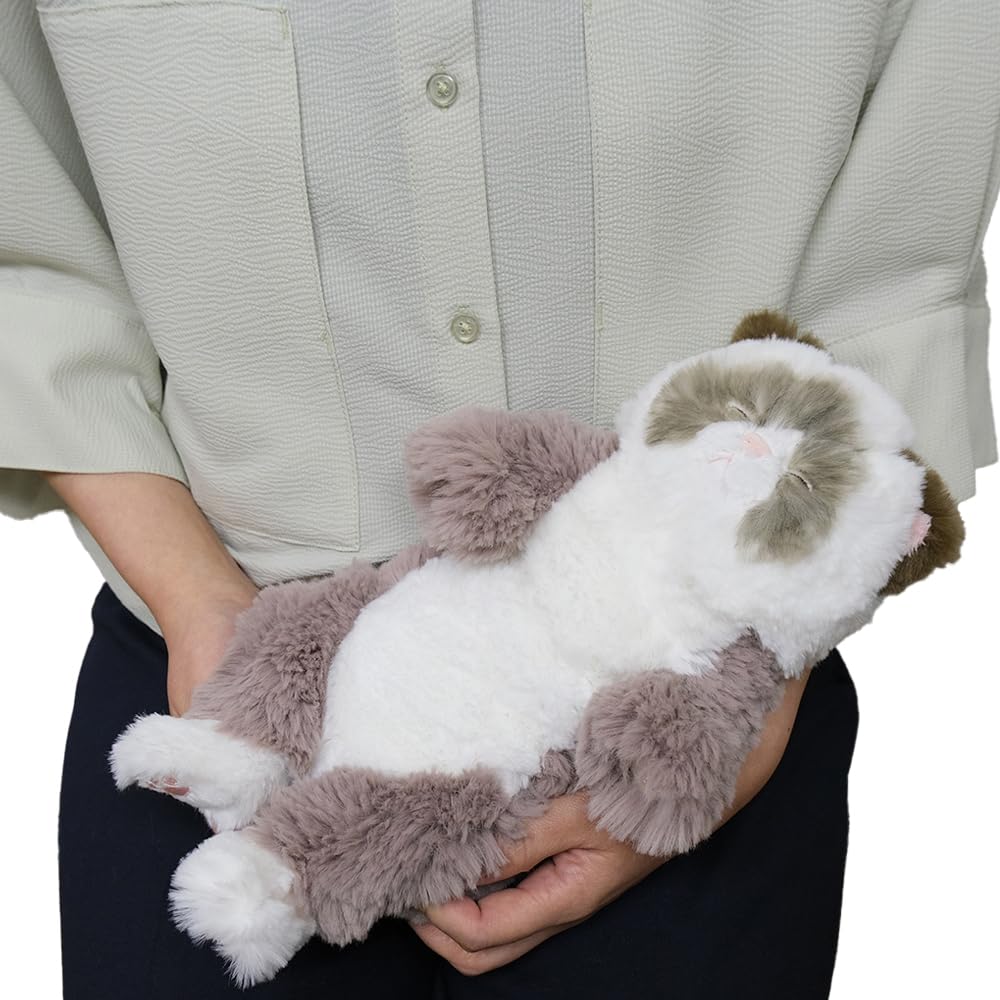 Солнечный Лимон Спящий Лап Маленькая Тряпичная Кукла 15 x 12 x Плюшевый Милый Кот, GYBR, 34см, Животное, Кот, P-1583