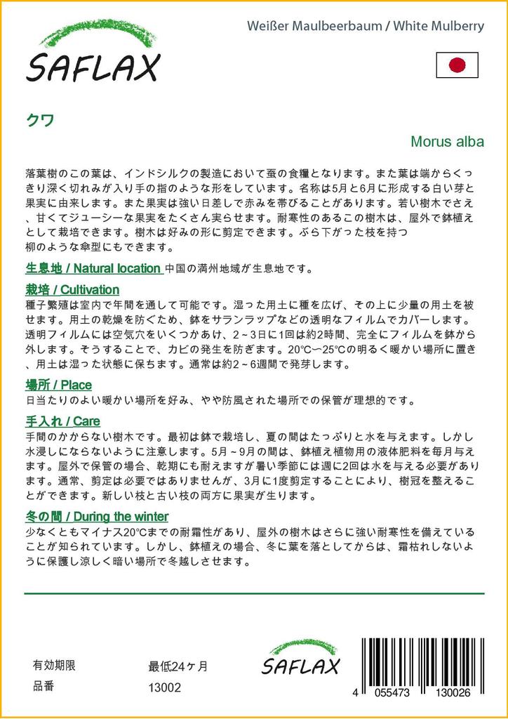 SAFLAX Шелковица белая - 200 семян - Morus alba