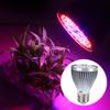 60W 60LED Full Spectrum Plant Grow Light Lamp Bulb for Plant Hydroponic Flower Planting Cultivation
