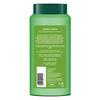Biotique Green Apple Шампунь и кондиционер для блеска и блеска для блестящих и здоровых волос 340мл