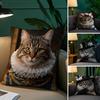 Подушка Чехол Ренессанс Королевский Мейн-кун кошка Плюшевая ткань Мягкая наволочка Двусторонняя печать Чехол на подушку для дивана Накидка