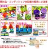 LEGO Серия минифигурок 24 Сокольничий [71037-5]
