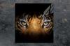 Glass protective plate for the stove 50x52 Tiger