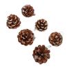 48pcs Christmas Pine Cones Ornaments with String Rustic Pine Cones Fall Decoration for DIY Crafts