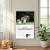 2026 Wall Calendar Dog Pooping/Angry Cat Calendar January 2026 - December 2026 12 Monthly Planner for Classroom Home Office