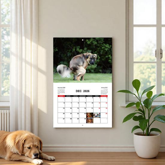 2026 Wall Calendar Dog Pooping/Angry Cat Calendar January 2026 - December 2026 12 Monthly Planner for Classroom Home Office