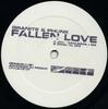 12inch Record GRANITE & PHUNK - Fallen Love OPAQ016TST Opaque Music 2005 Germany Dance & Electronica Used