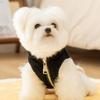 Puppy Dog Clothes Autumn and Winter Small Dog Teddy Bichon Puppy Kitten Warm Corduroy Two-legged Pet Cotton Coat
