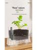 Sunroom Kids' Planting Kit: Potted Plant Science Experiment & DIY Toy