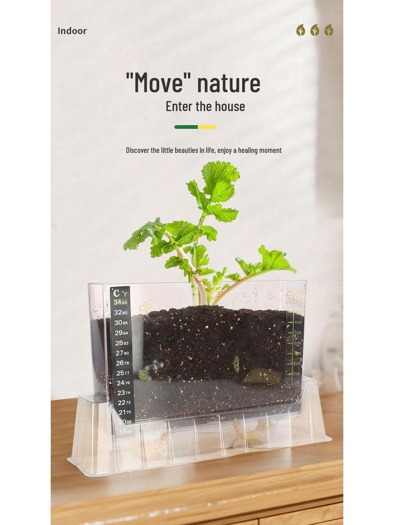 Sunroom Kids' Planting Kit: Potted Plant Science Experiment & DIY Toy