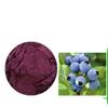 Bilberry Fruit Powder 4:1 Extract Stronger Antioxident Anthocyanin 3.5 Oz (100g)
