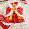 Осенне-зимний новогодний поднос для собак с пуговицами и кисточками, китайский костюм Тан, юбка для маленьких и средних собак, хлопковое пальто для кошек и домашних животных, одежда для собак