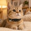 Moon Star Pattern Cat Leash Set Escape Proof Cat Dog Harness Pet Leash  Outdoor Walking