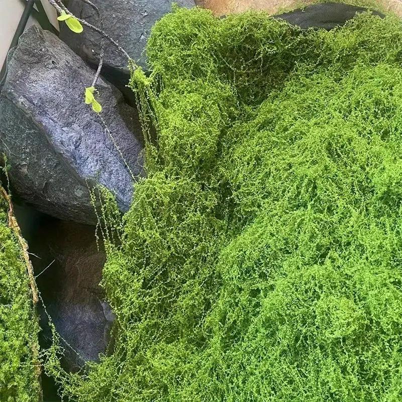 Lifelike Artificial Moss For DIY Crafts Home Decor Evergreen Plant Accent For Indoor Landscapes Wedding Decorations More