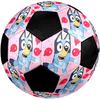 Bluey Theme Size 5 Soccer Ball, Suitable for Both Indoor and Outdoor Matches, a Gift Suitable for Everyone.