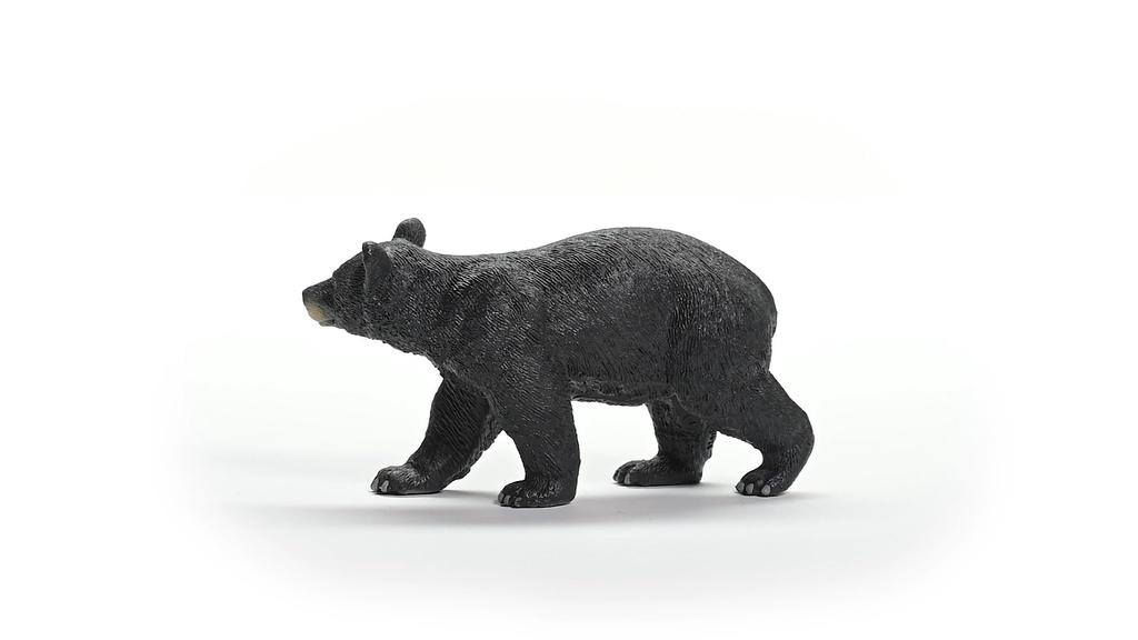 Schleich Wildlife Американский черный медведь 14869