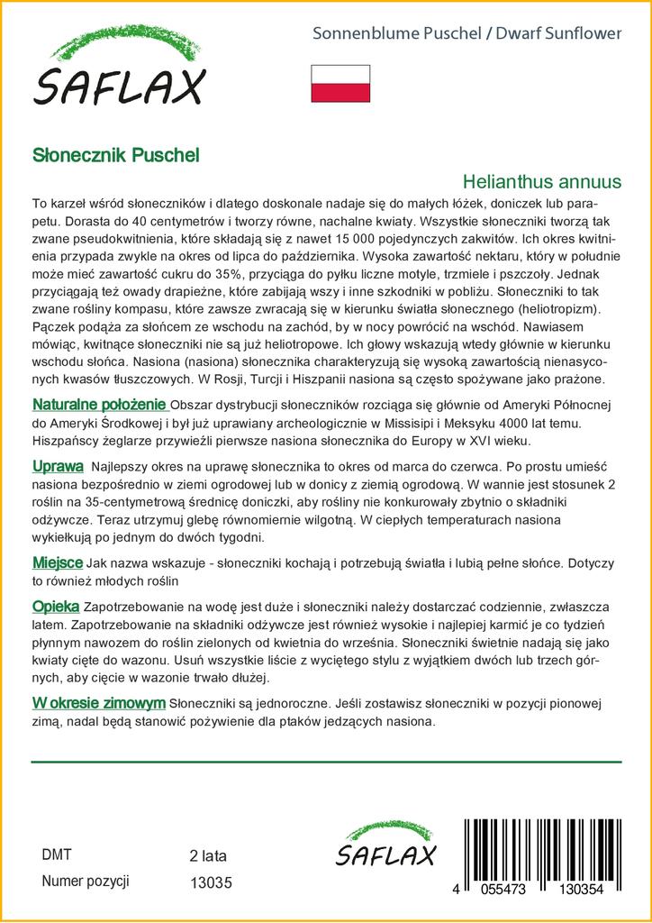SAFLAX Подсолнечник карликовый - 40 семян - Helianthus annuus