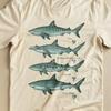 Shark Species T-Shirt, Vintage Style Marine Biology Tee, Natural Cotton Great Tiger Hammerhead Leopard Shark Educational Shirt