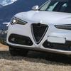 Fits 17-23 Alfa Romeo Stelvio Ornament Grille ACC Forward Radar Cover 156126159